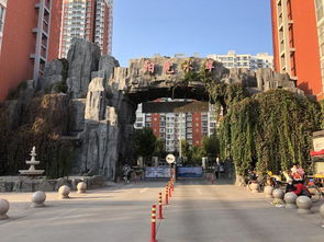 本周保定新聞閱讀量top10