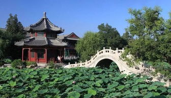 快來河北 給你百萬補貼 高薪 房子