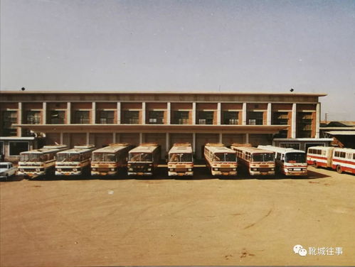 時光深處的保定 三十年前那些人與那些事