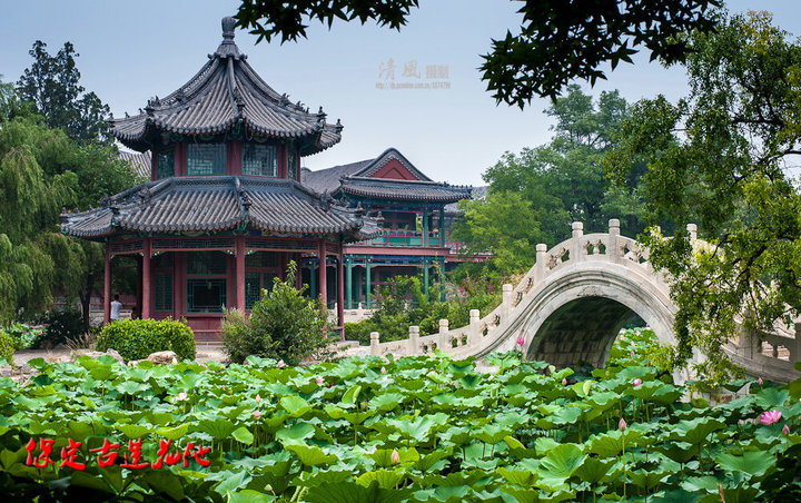 保定古蓮花池風(fēng)光攝影記